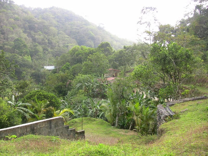 Just a view on the property (you can see our red roof peaking out)