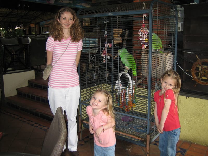 Talking parrots at the restaurant