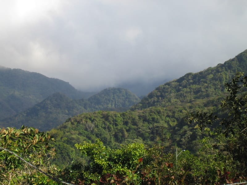 A view on the drive from El Valle to Boquete