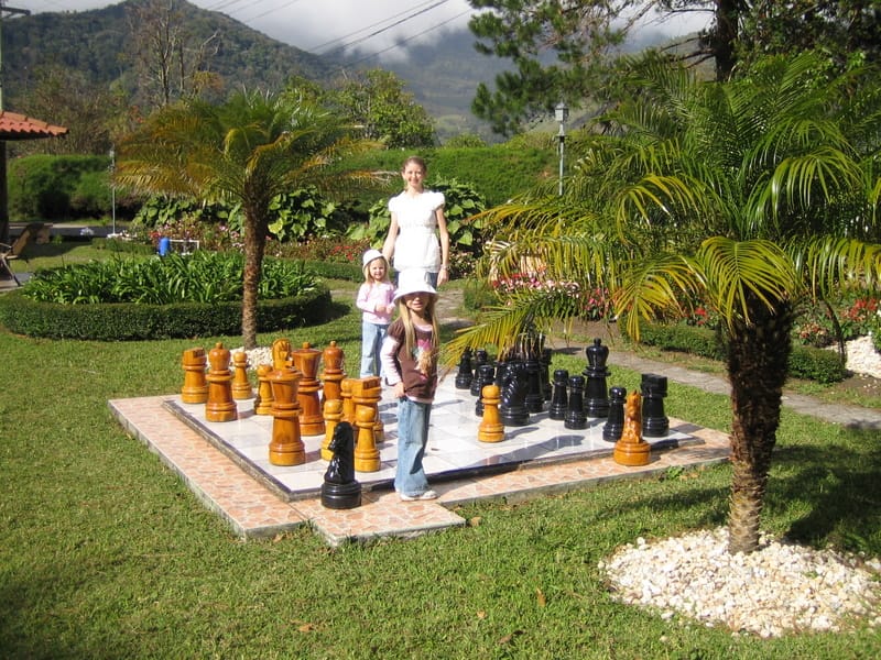 Playing chess