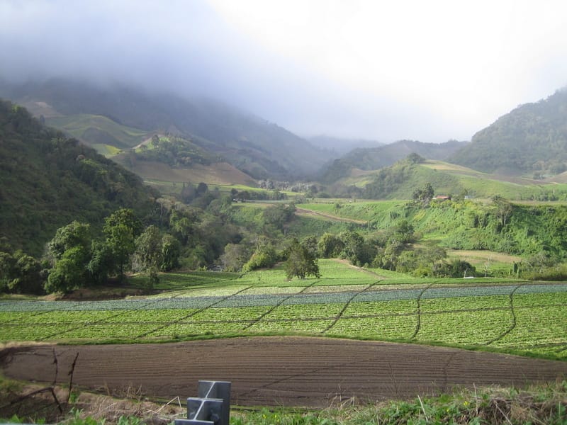Near Cerro Punta