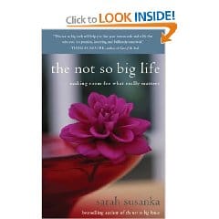 The Not So Big Life book cover