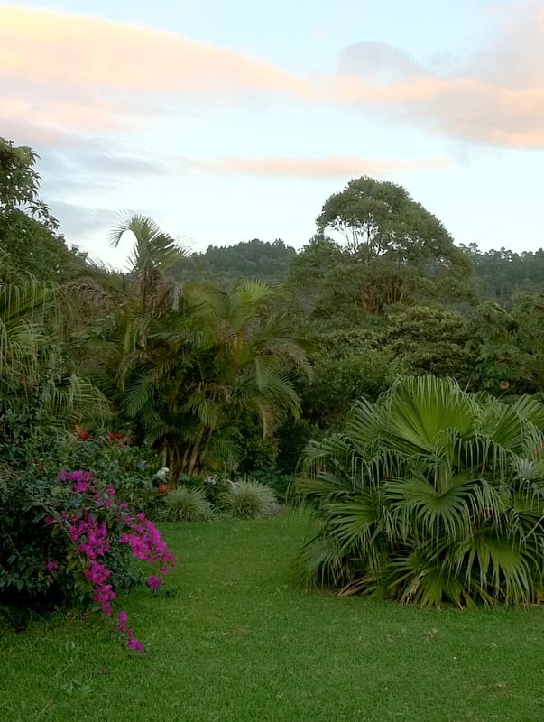 Having a Baby in Costa Rica