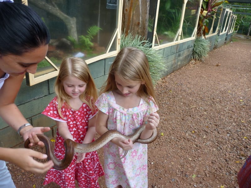 Holding a Rainbow Boa