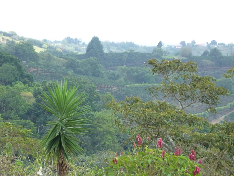 Our New Home in Costa Rica