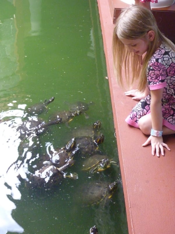 Emily Learned to Swim!