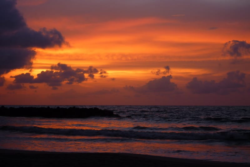 Last Days in Cartagena