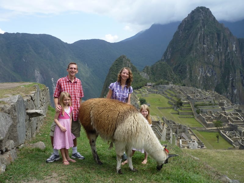Llama at Machu Picchu