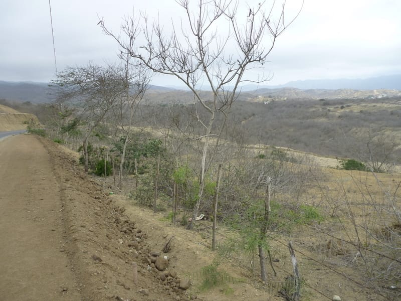 Getting out of Guayaquil