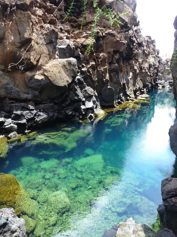 A Week in the Galapagos Islands