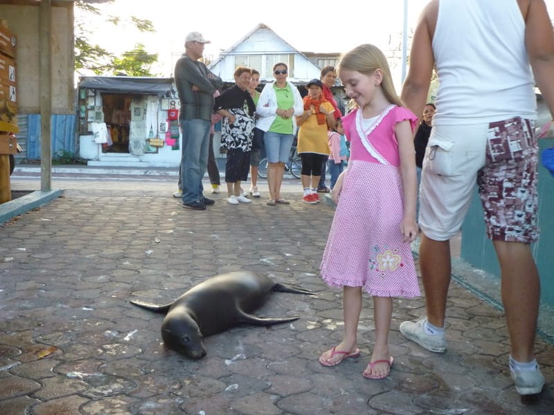 A Week in the Galapagos Islands