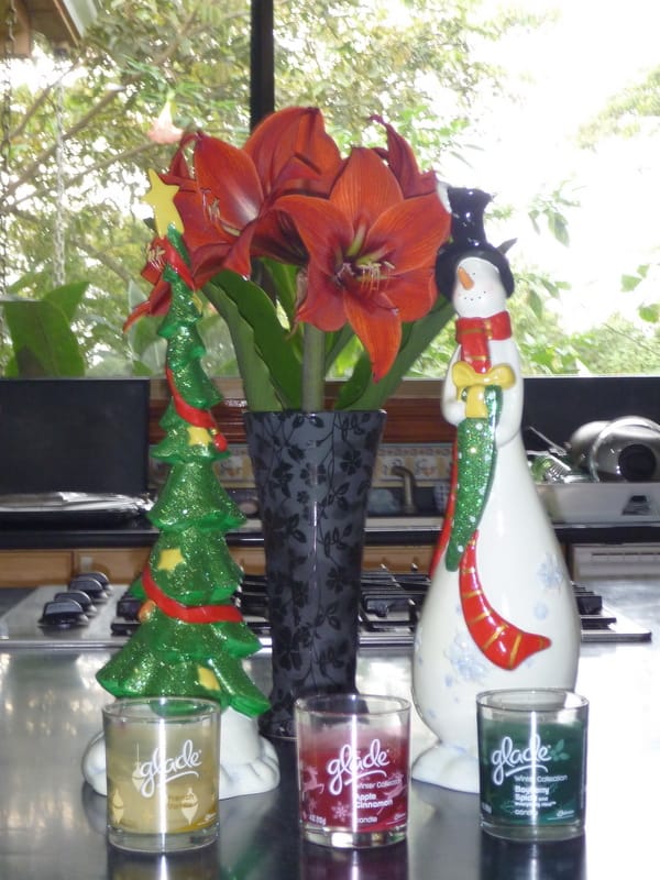 First Christmas in Costa Rica