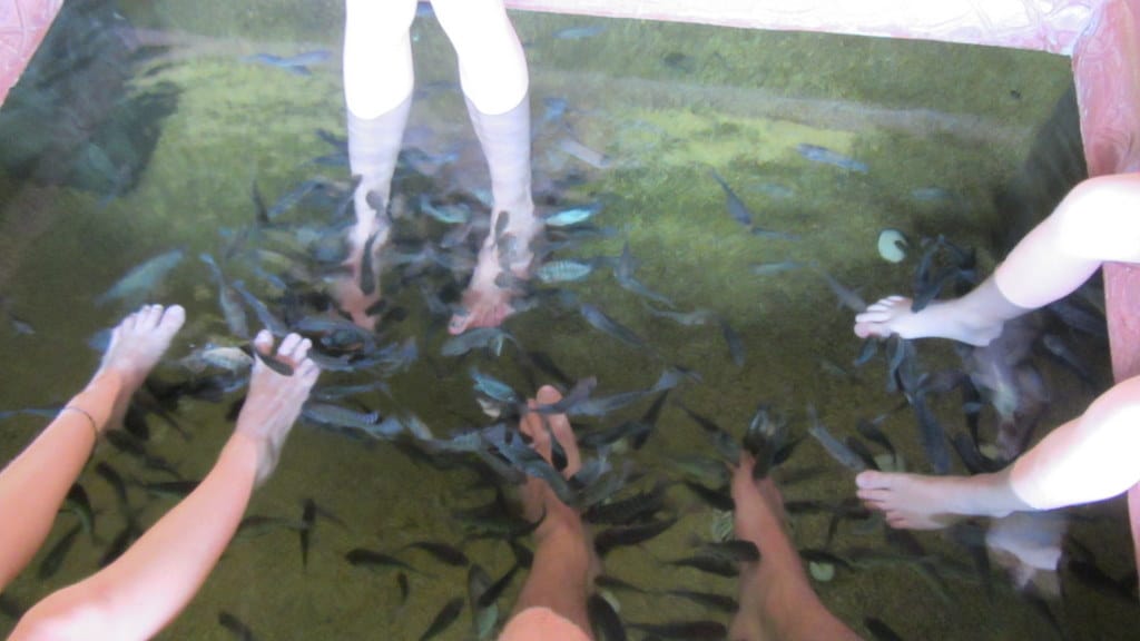 Feet getting nibbled at the fish spa
