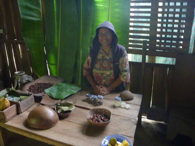 Puerto Viejo, Limon