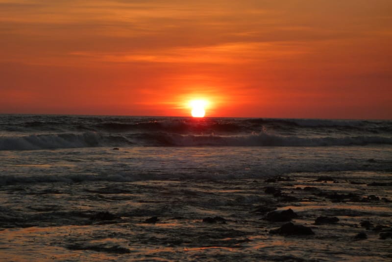 Tamarindo