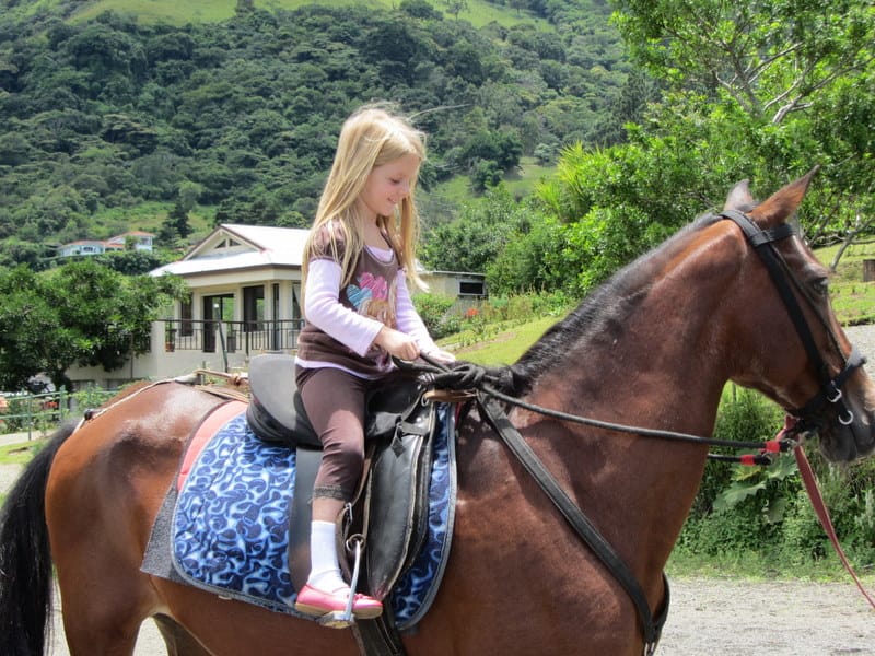 Marie horse