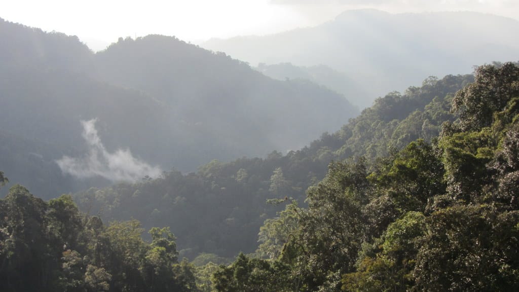 Cameron Highlands, Ipoh, and Orang Utan Island