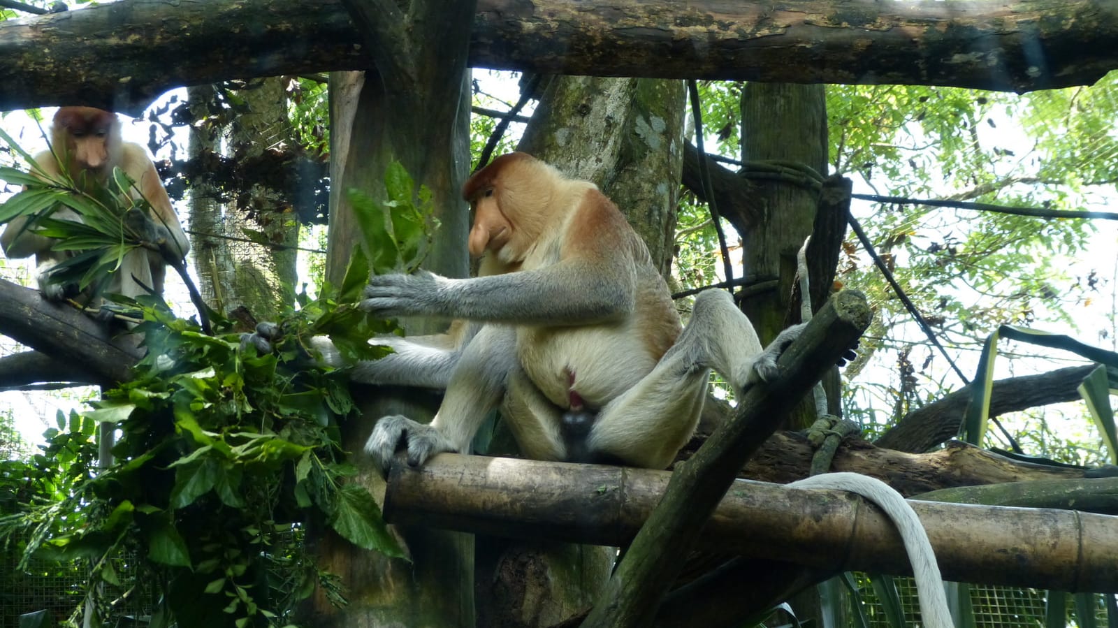 More in Singapore