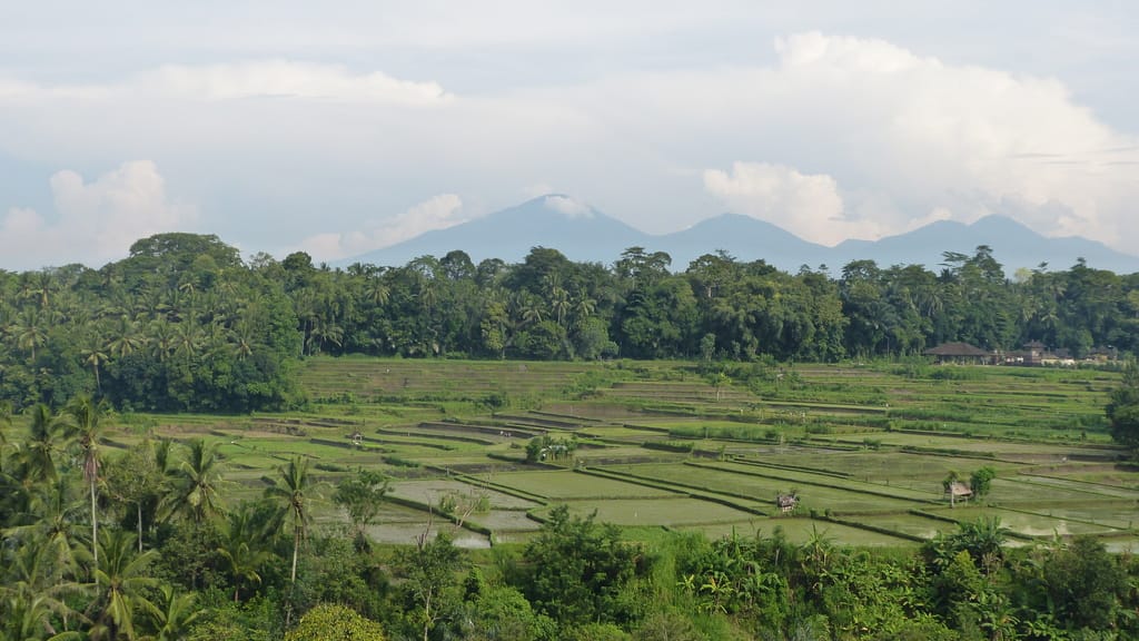 First impressions of Ubud, Bali, Indonesia