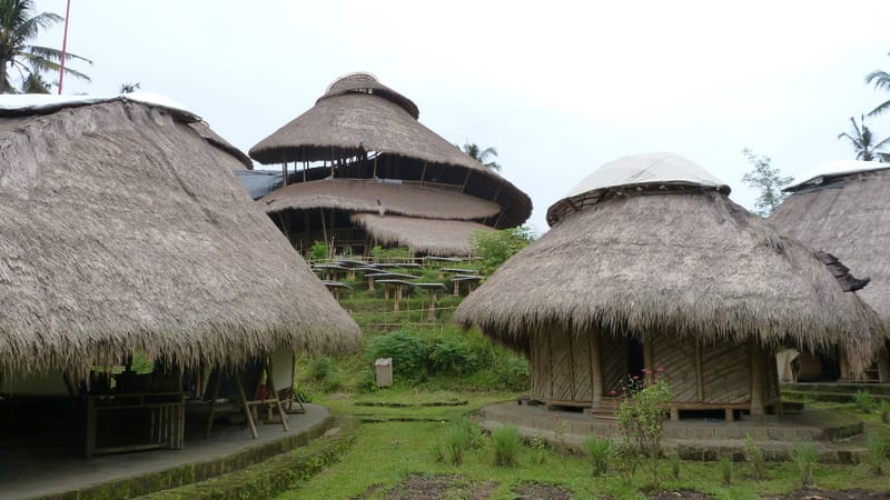 First impressions of Ubud, Bali, Indonesia