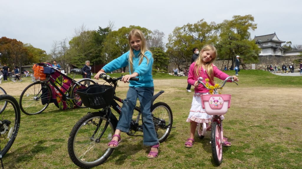 Barbecues, Cherry Blossoms, and Go-Carts