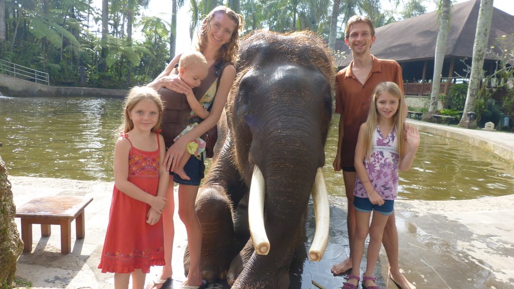 Elephants