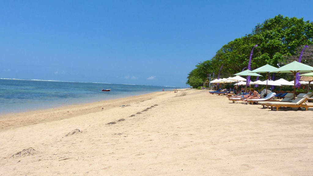 Beach with Friends