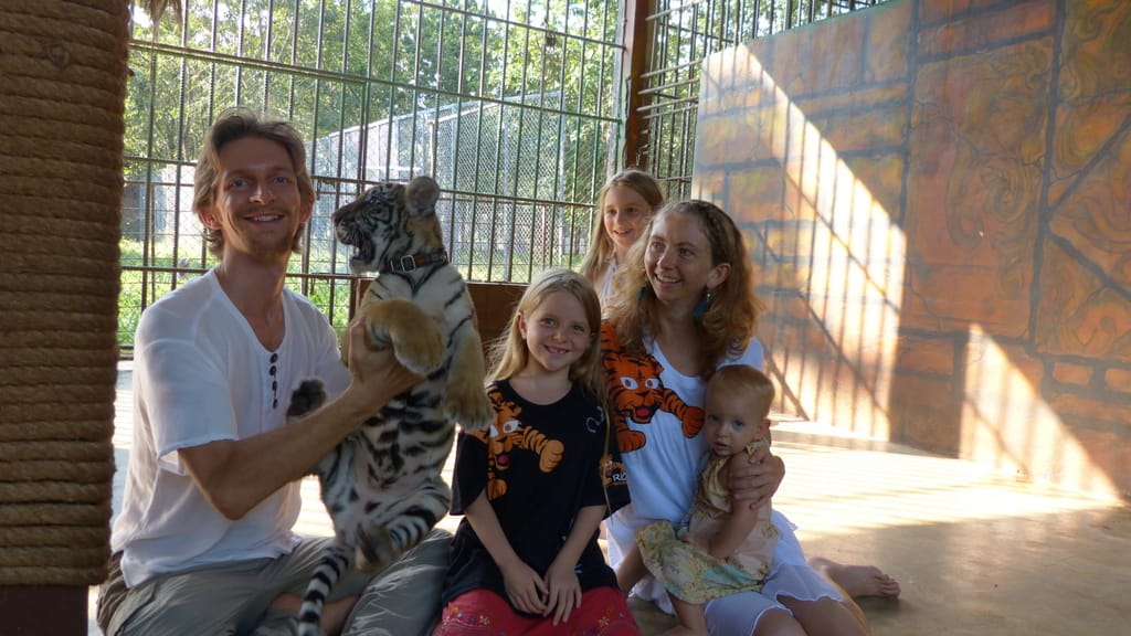 Playing with Tigers