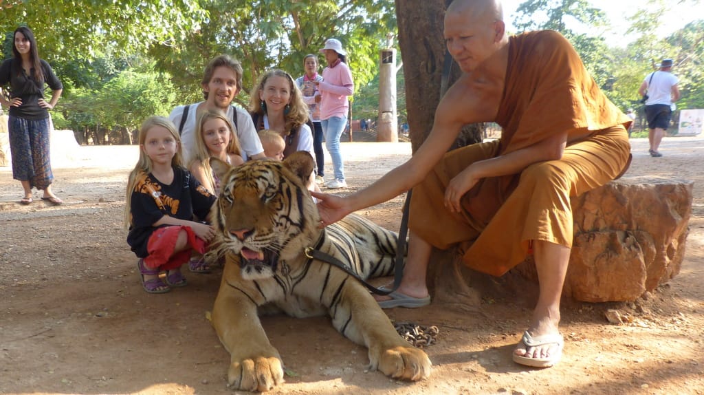 Playing with Tigers