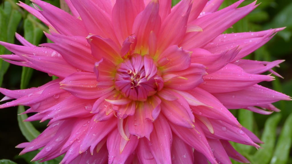 Exploring Chiang Mai