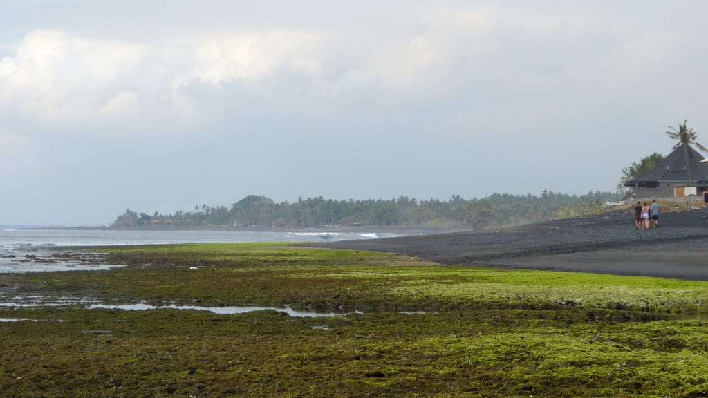 P1170595