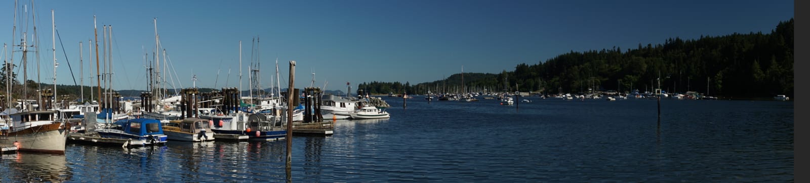 DSC03003