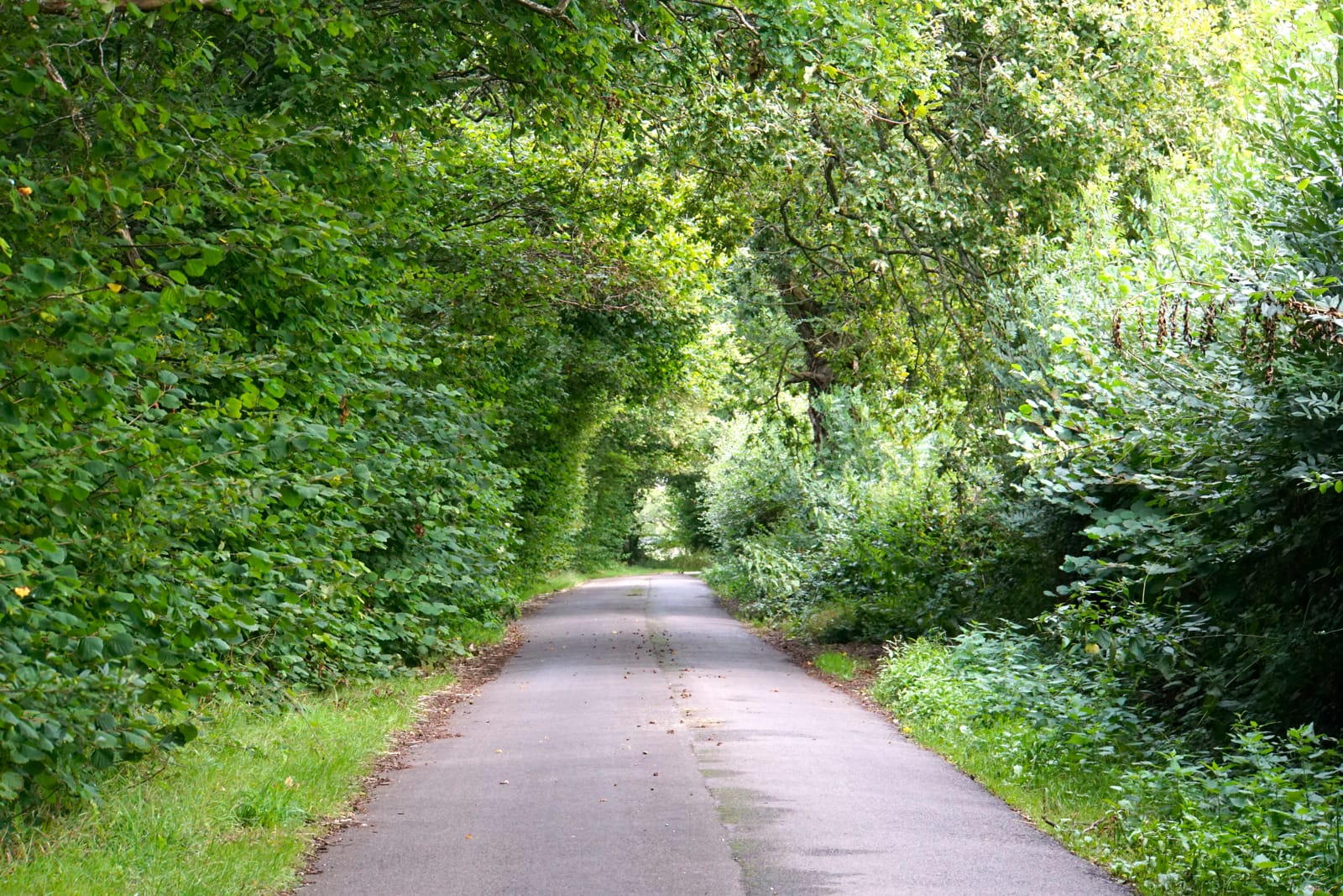 DSC08216