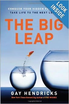 The Big Leap book cover