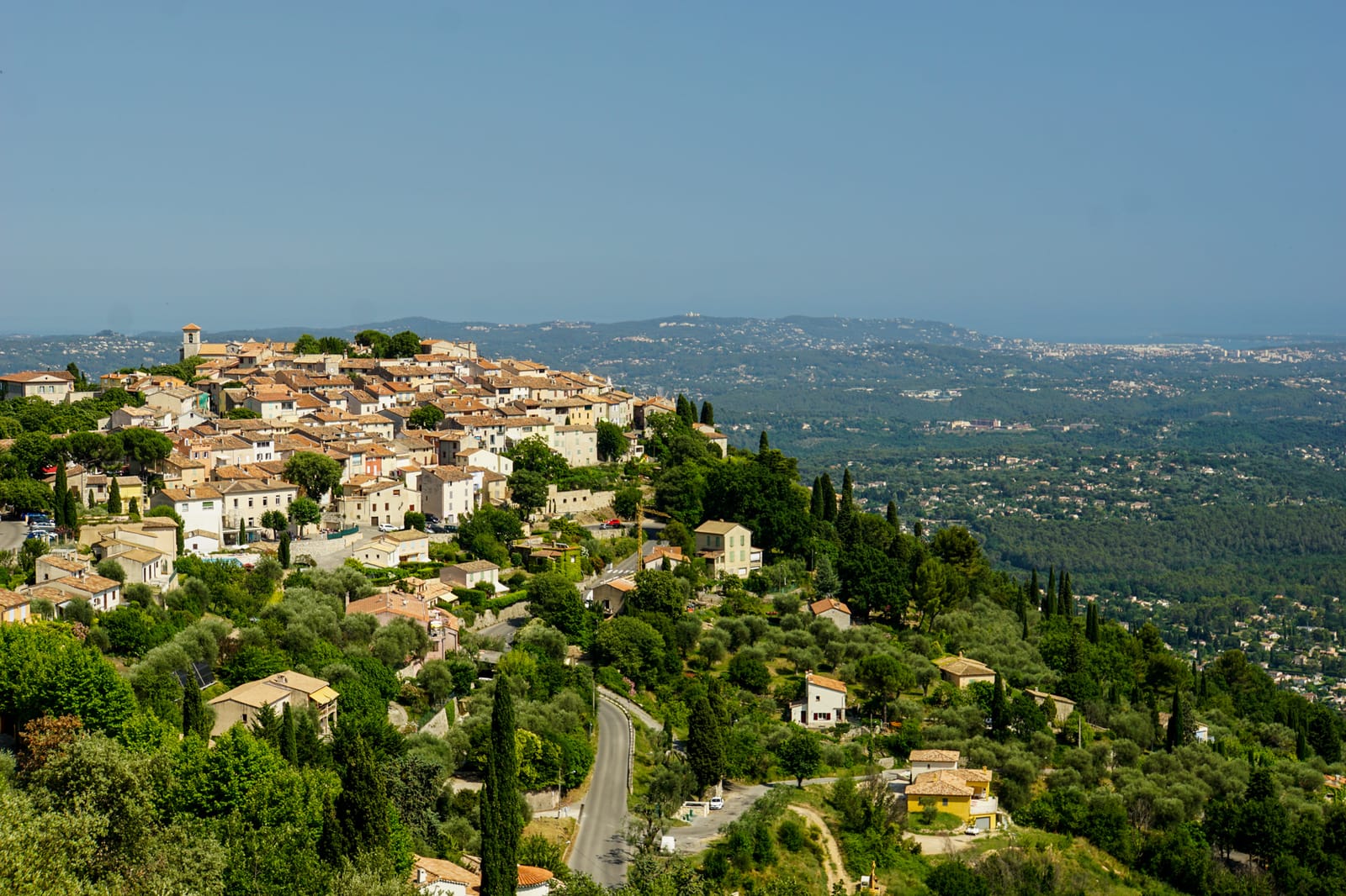 grasse-08890