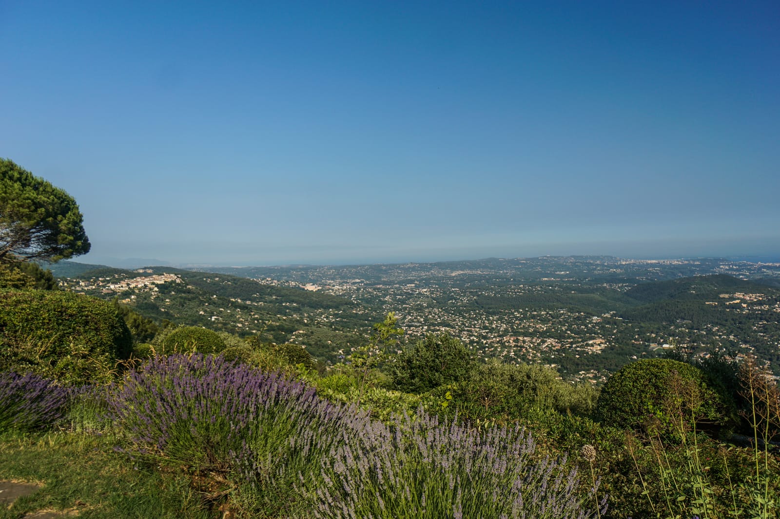 grasse-08911