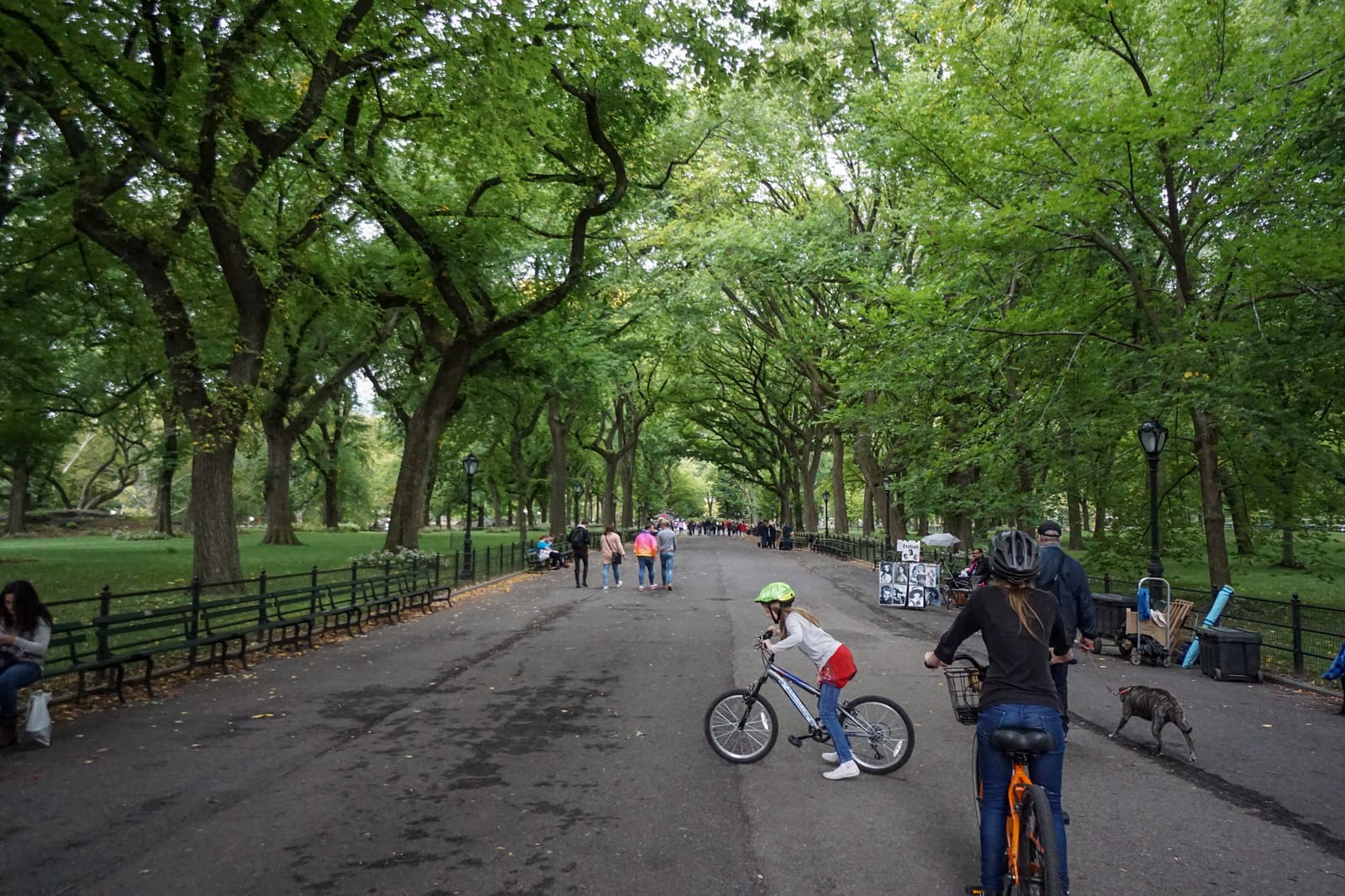 newyork-01548