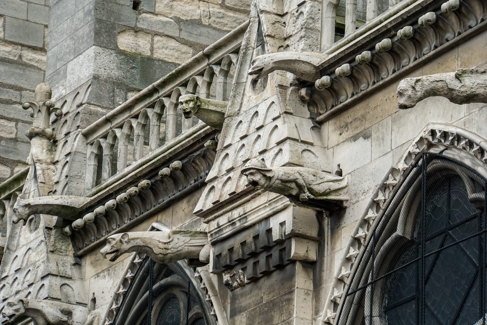 Notre Dame Cathedral, Paris France