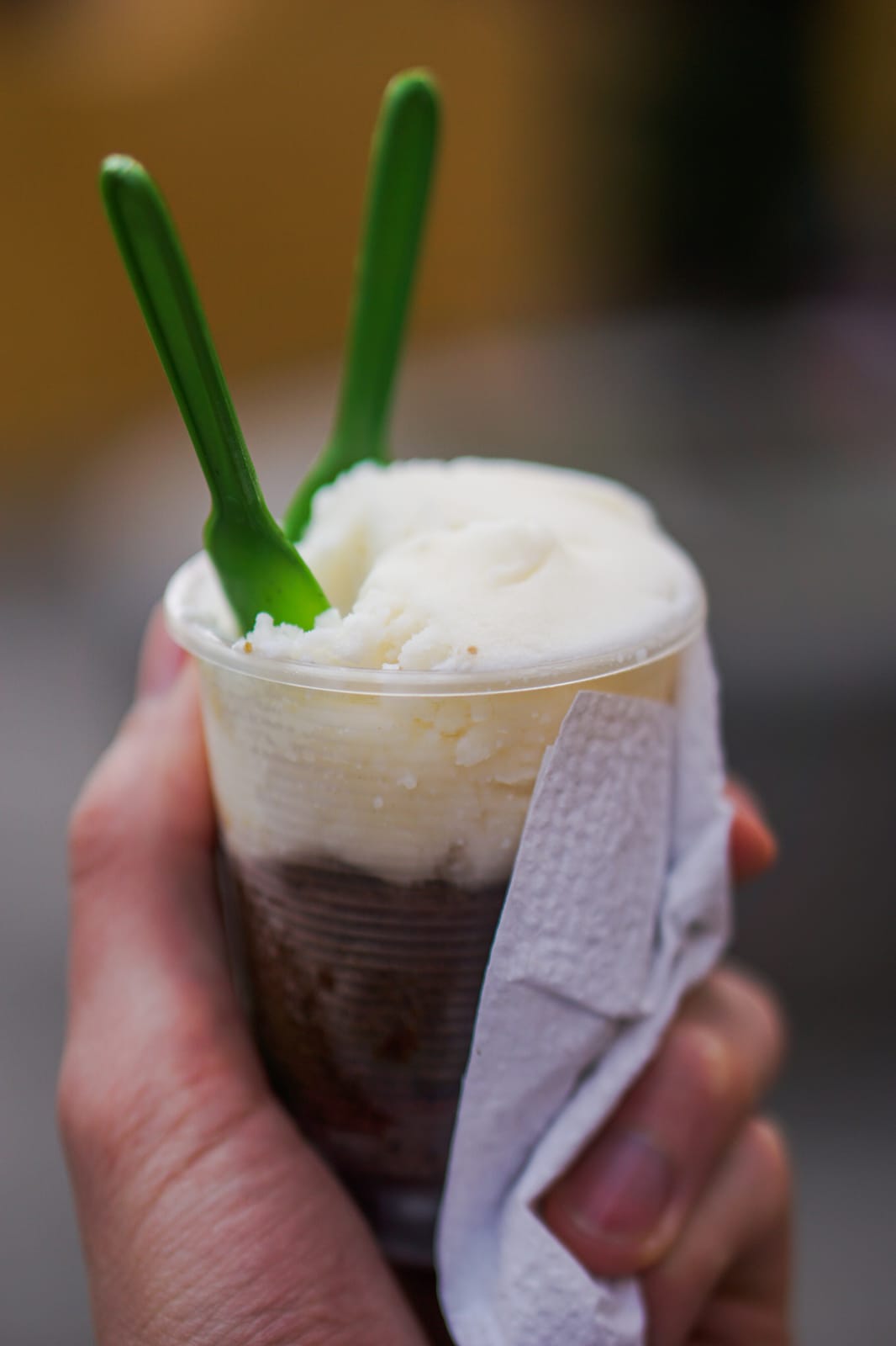 Delicious home made goats milk ice cream in San Miguel de Allende, Mexico