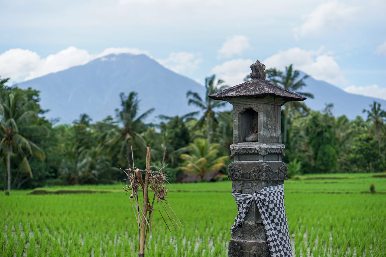 solo-trip-02706