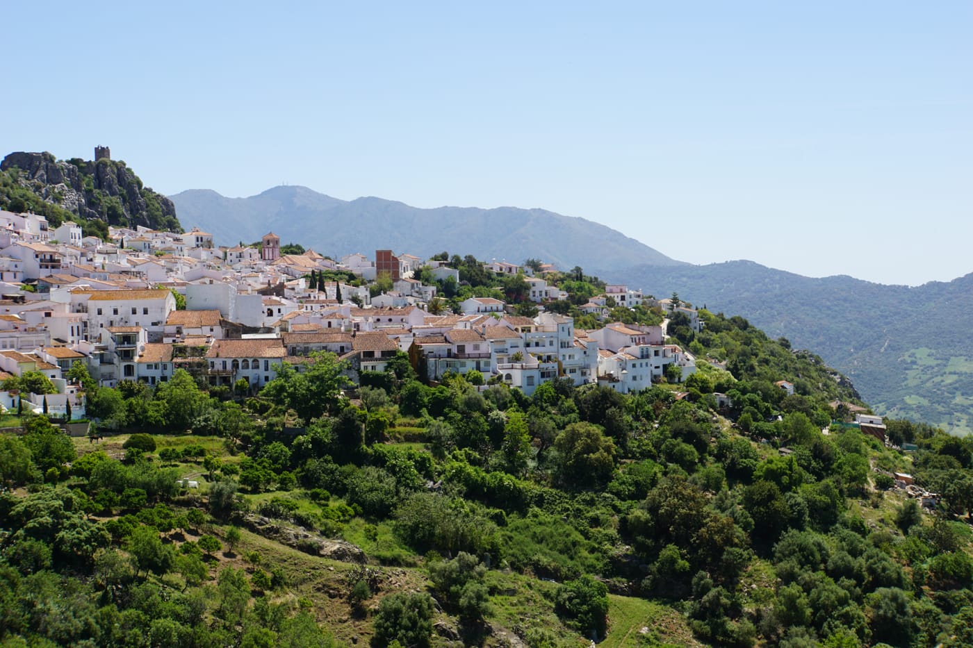 spain-03874