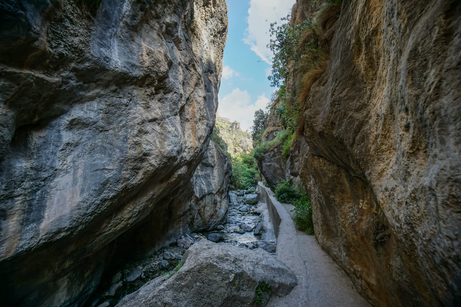 spain-05216