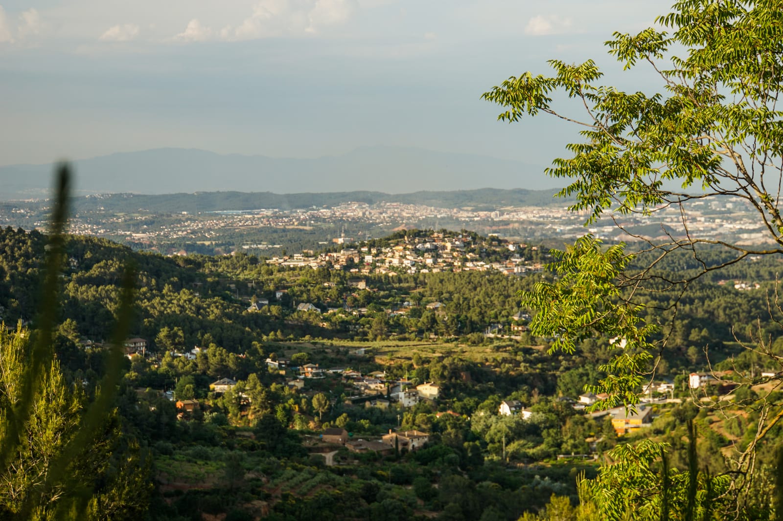 spain-05740