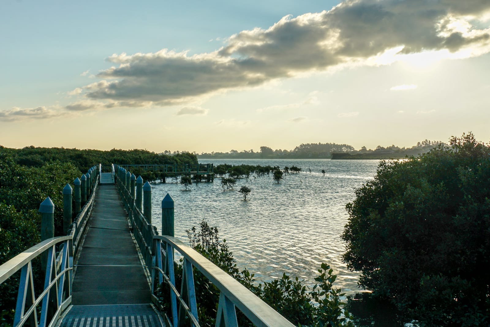 auckland-08525
