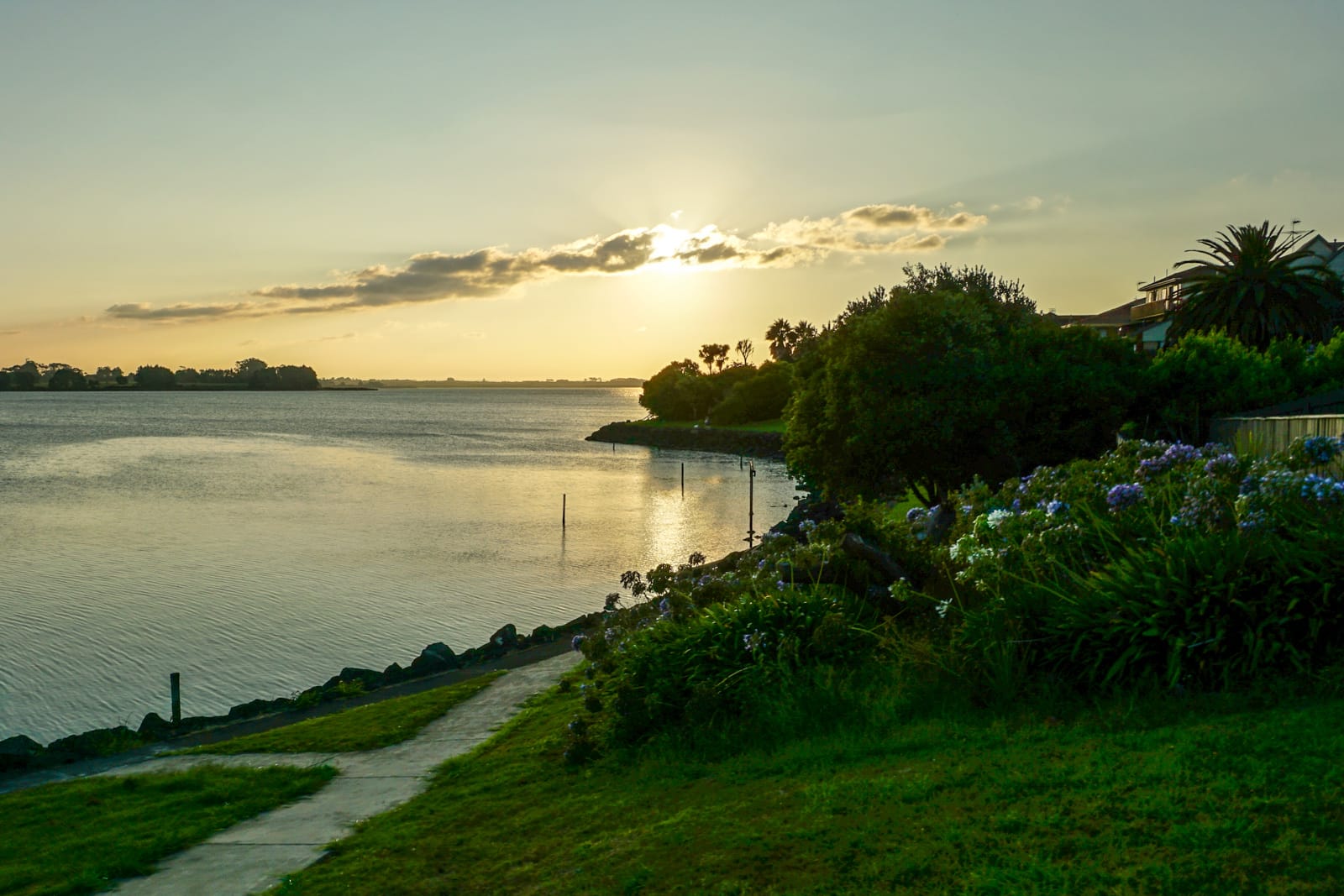 auckland-08545