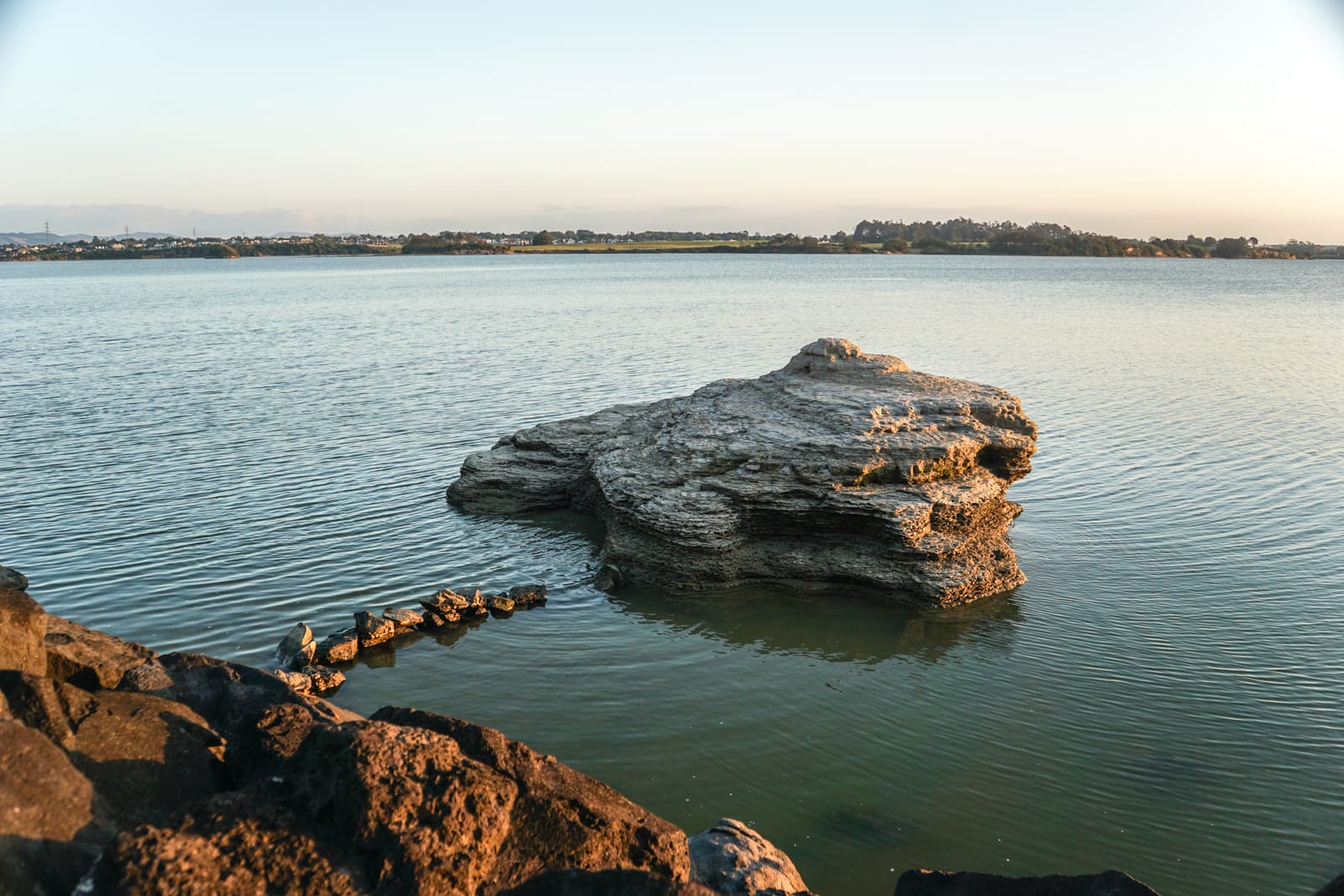 auckland-08564