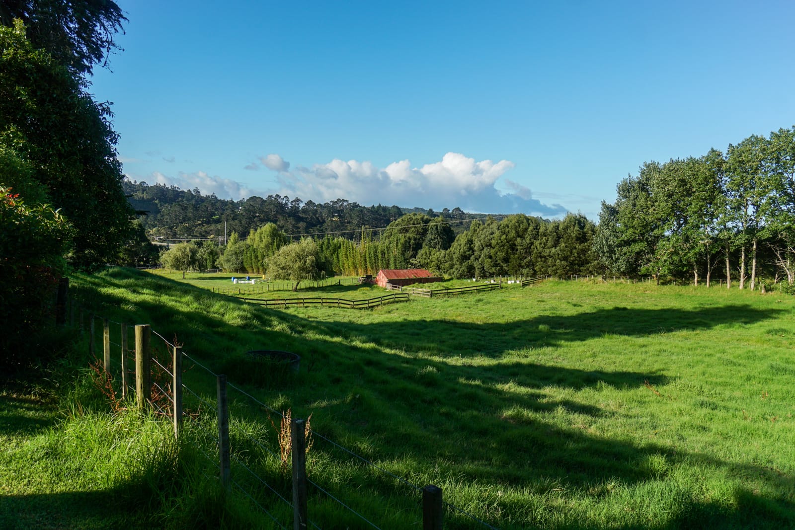 auckland-09393