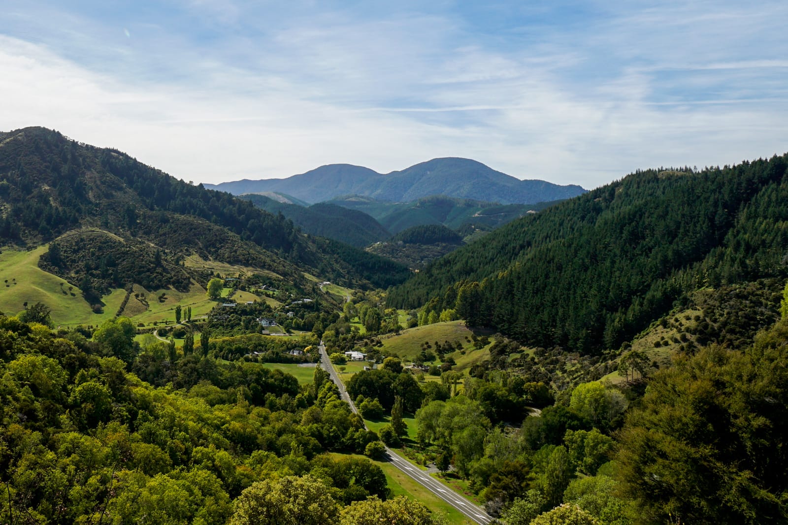 centernz-0761