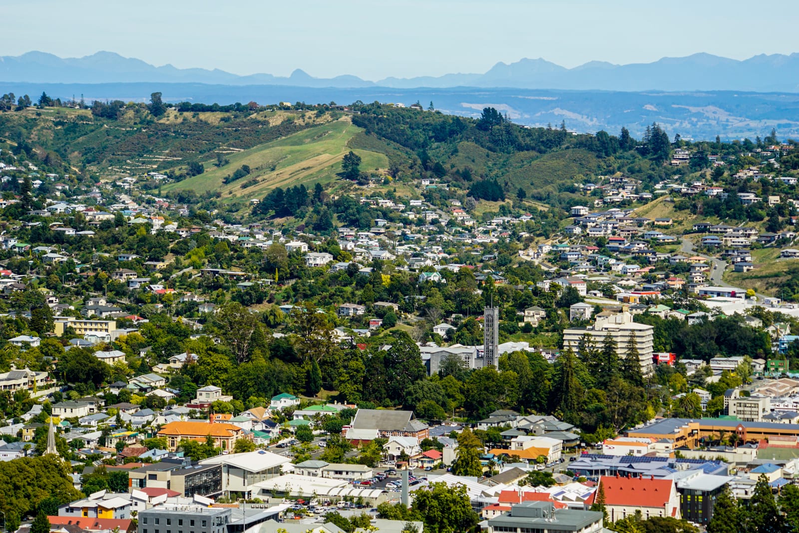 centernz-0779
