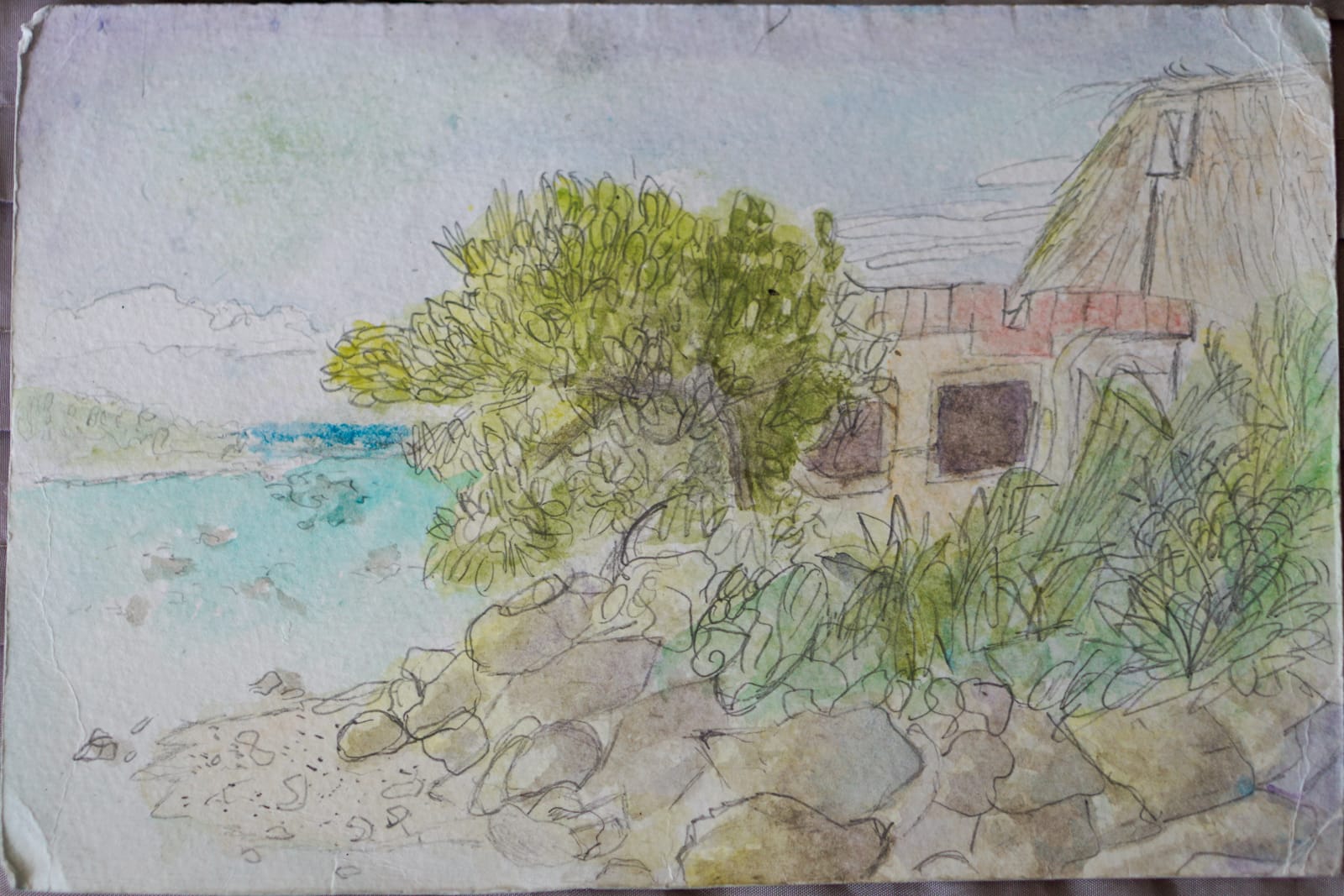 fijiart-5397